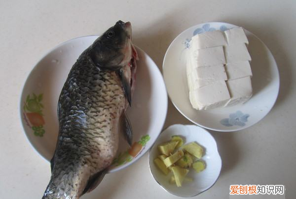 鲫鱼豆腐汤的做法，鲫鱼豆腐汤正宗做法