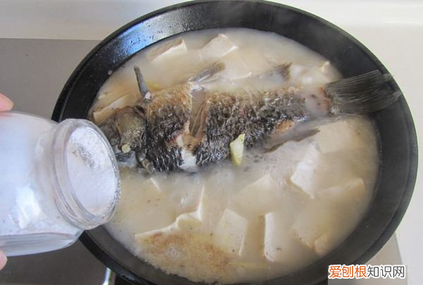 鲫鱼豆腐汤的做法，鲫鱼豆腐汤正宗做法