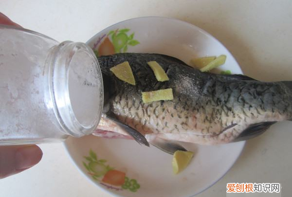 鲫鱼豆腐汤的做法，鲫鱼豆腐汤正宗做法