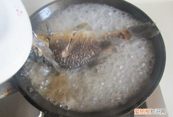 鲫鱼豆腐汤的做法，鲫鱼豆腐汤正宗做法