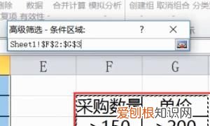 Excel表格应该咋的才可以做高级筛选