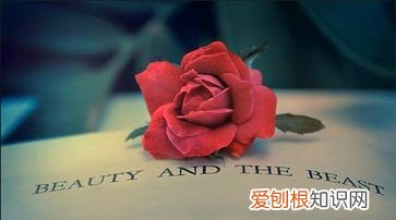 宅在家不能出门怎么办,孩子宅在家里不出门不见人怎么办