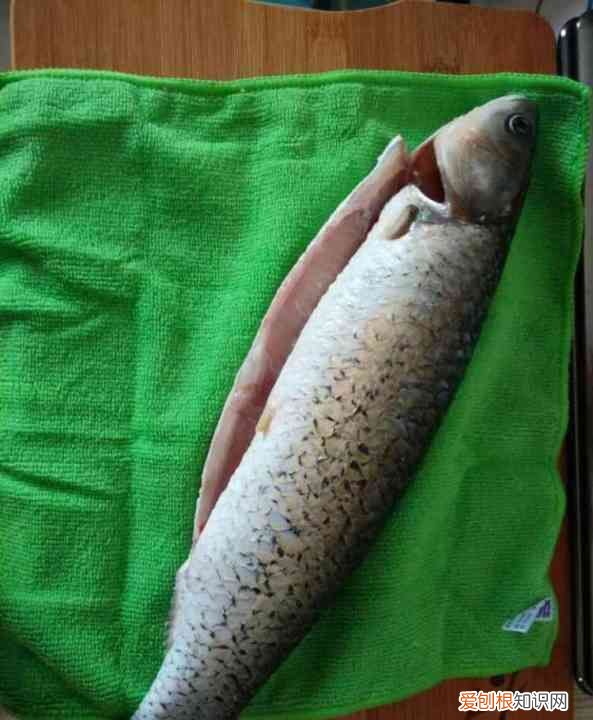 家常老碗鱼的做法，老碗鱼的做法最正宗的做法视频西湖牛肉羹