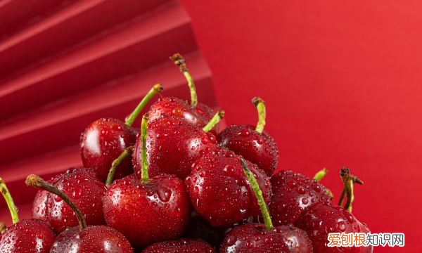 黄樱桃叫什么，樱桃什么季节成熟