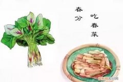 春分的中国传统习俗，四大传统文化由来及习俗