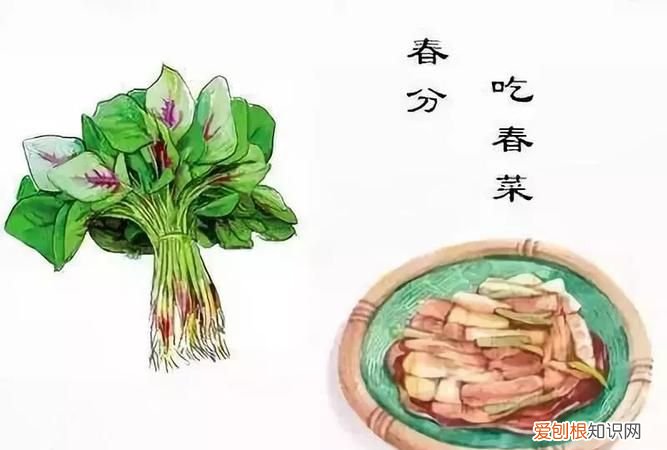 春分的中国传统习俗，四大传统文化由来及习俗