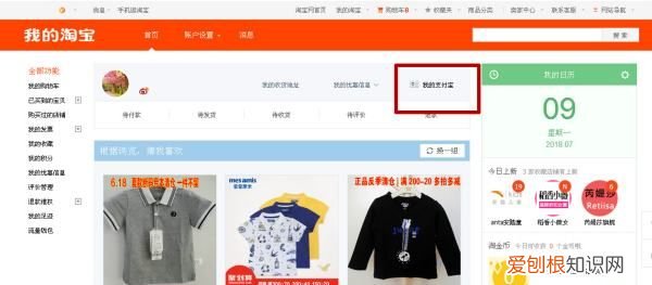 支付宝余额该怎么才可以查