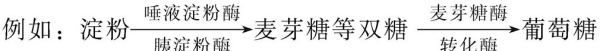 消化名词解释，表现消化率名词解释