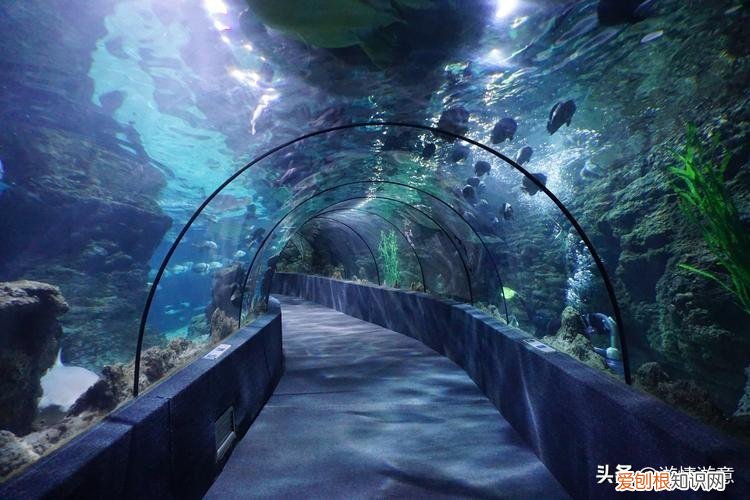 南昌海洋公园