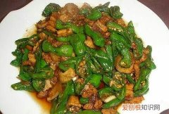 炒肉的菜有哪些，初学炒肉菜的学生应该懂得哪些