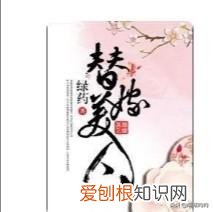 sp训诫小说