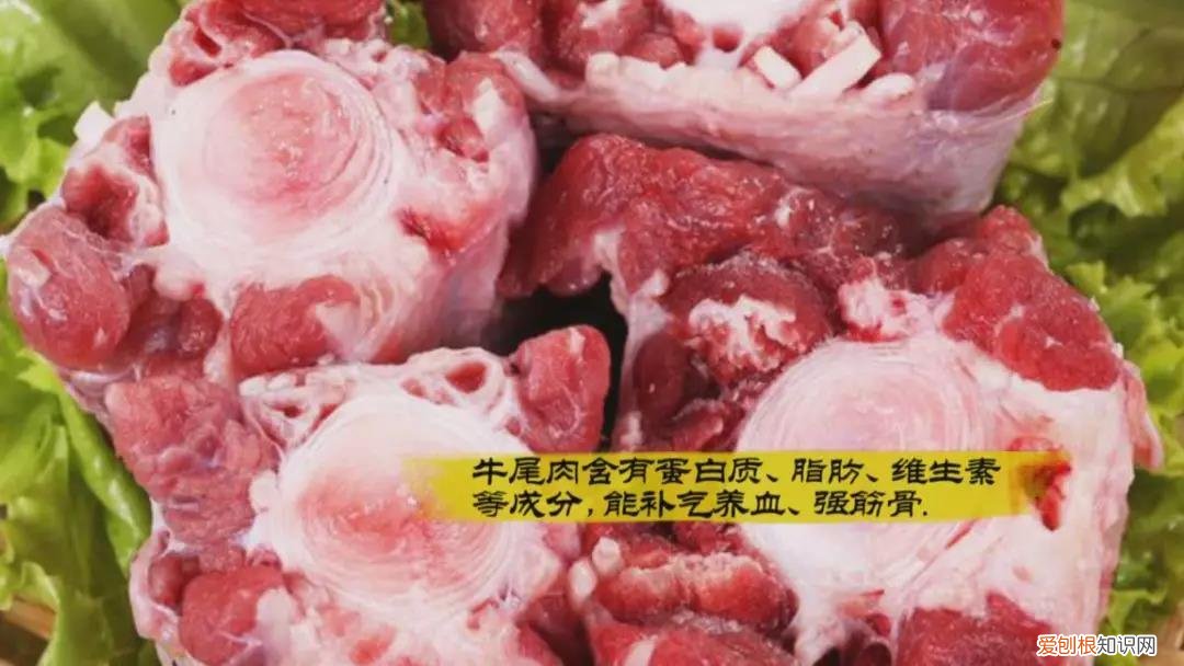 牛尾汤的功效与作用