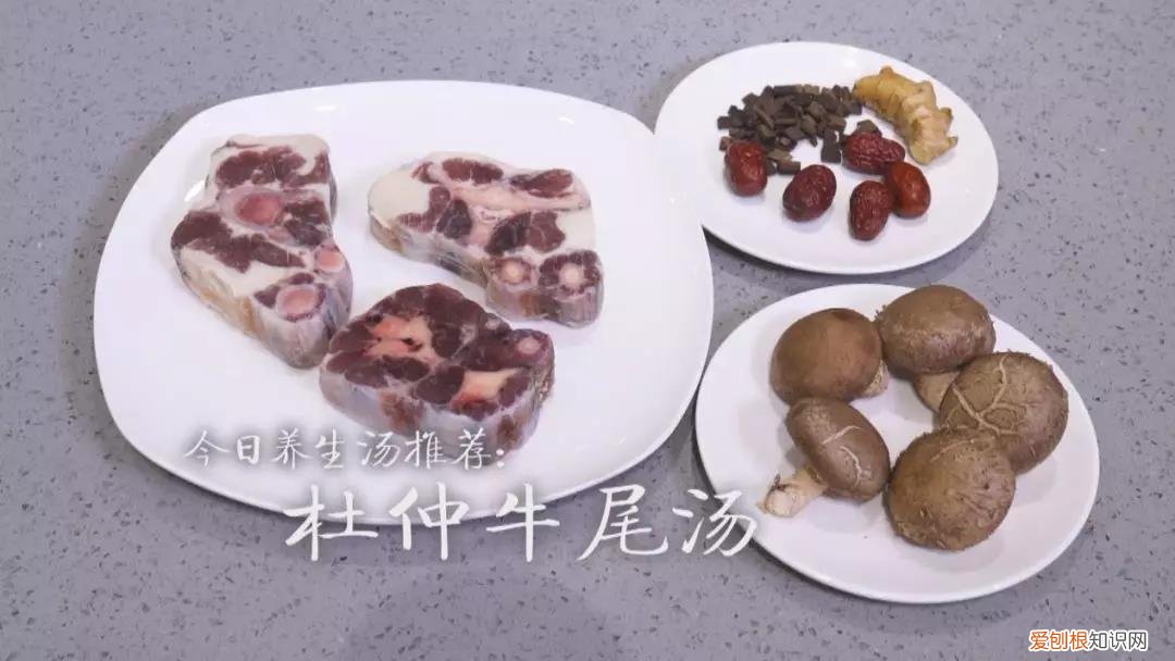 牛尾汤的功效与作用