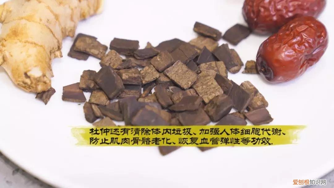 牛尾汤的功效与作用