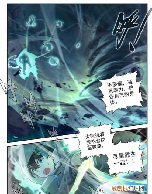 斗罗大陆2211是什么意思，斗罗大陆武魂觉醒唐浩合什么魂环