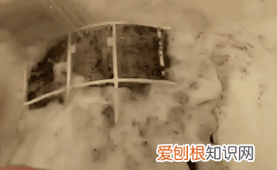 空调一定要打开这个开关,每月省电20%,太实用了