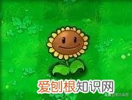 梯僵尸