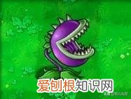 梯僵尸
