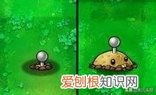 梯僵尸