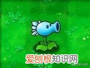 梯僵尸