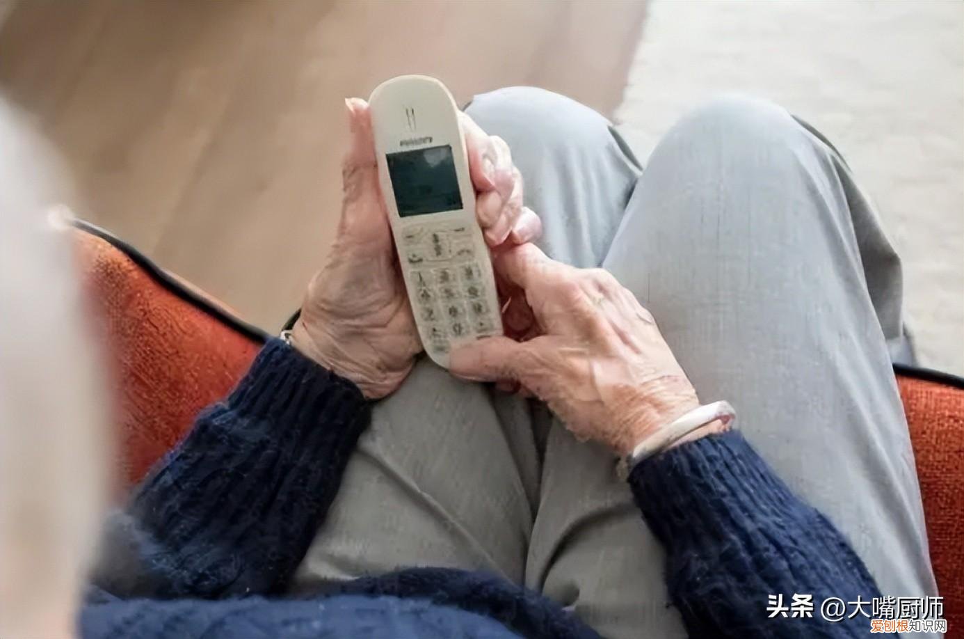 叶酸品牌排行榜