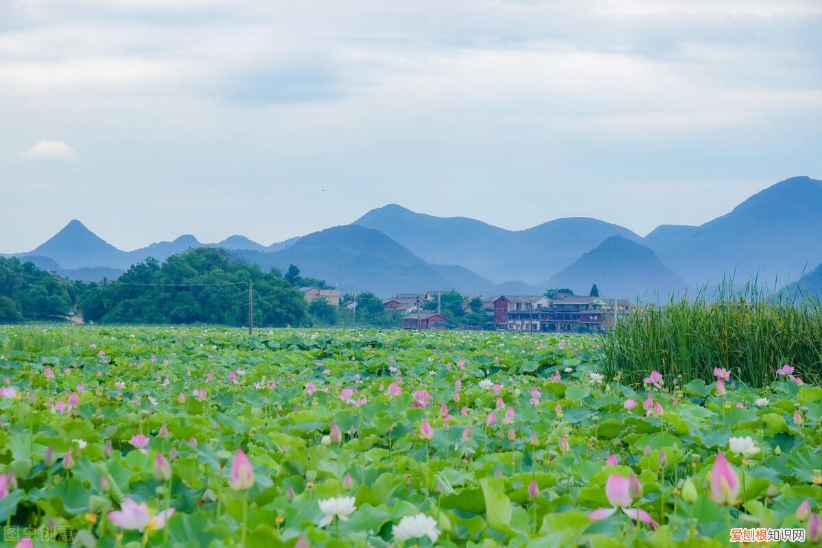 毕业旅行适合去的地方