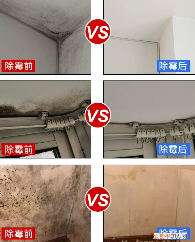 调料盒哪种方便好用