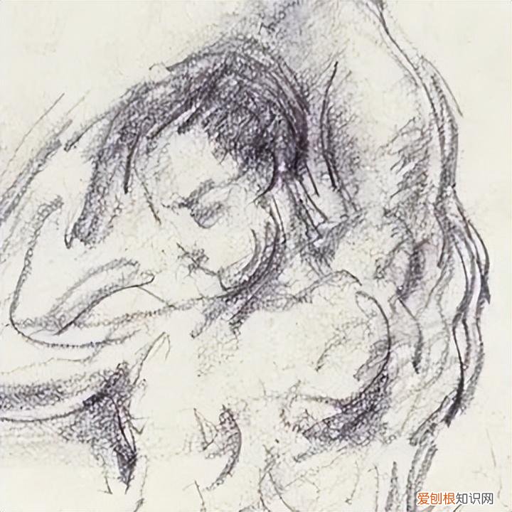 男性人体