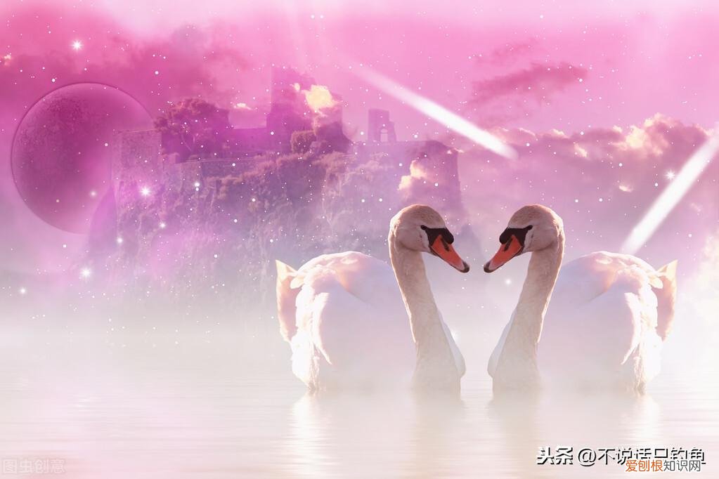 柏拉图式恋爱是什么意思