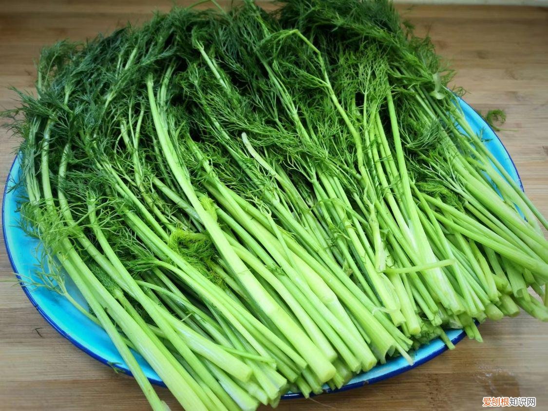 茴香馅饺子怎么调馅好吃