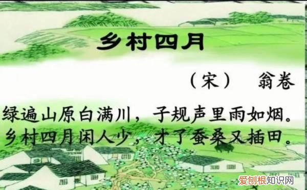 绿遍山原白满川的下一句是什么