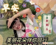 好好的生活一共几集，好好生活星期五不更新吗