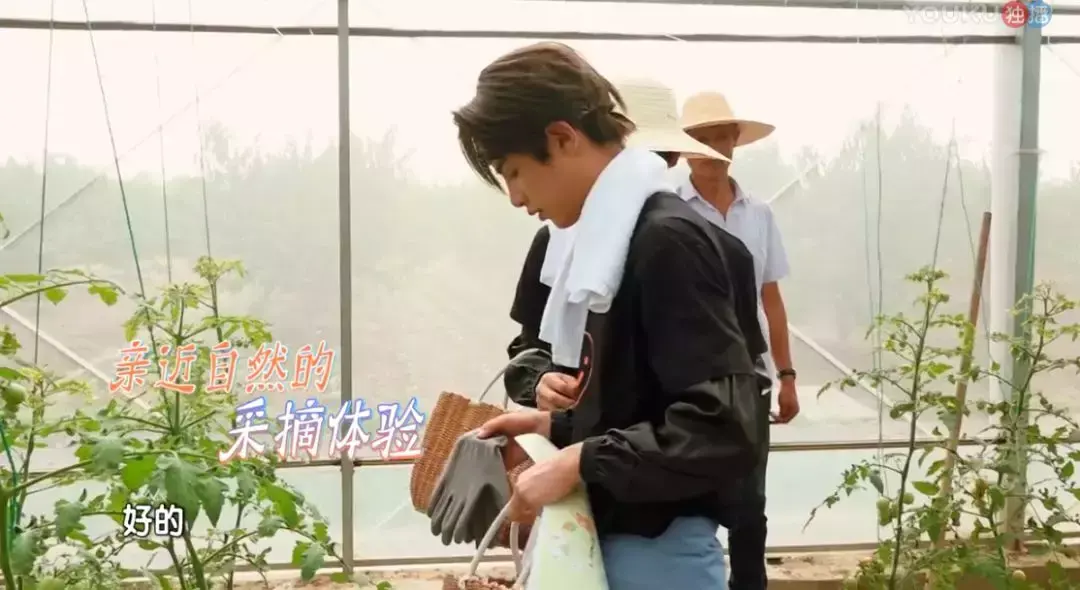 完美的餐厅演员表