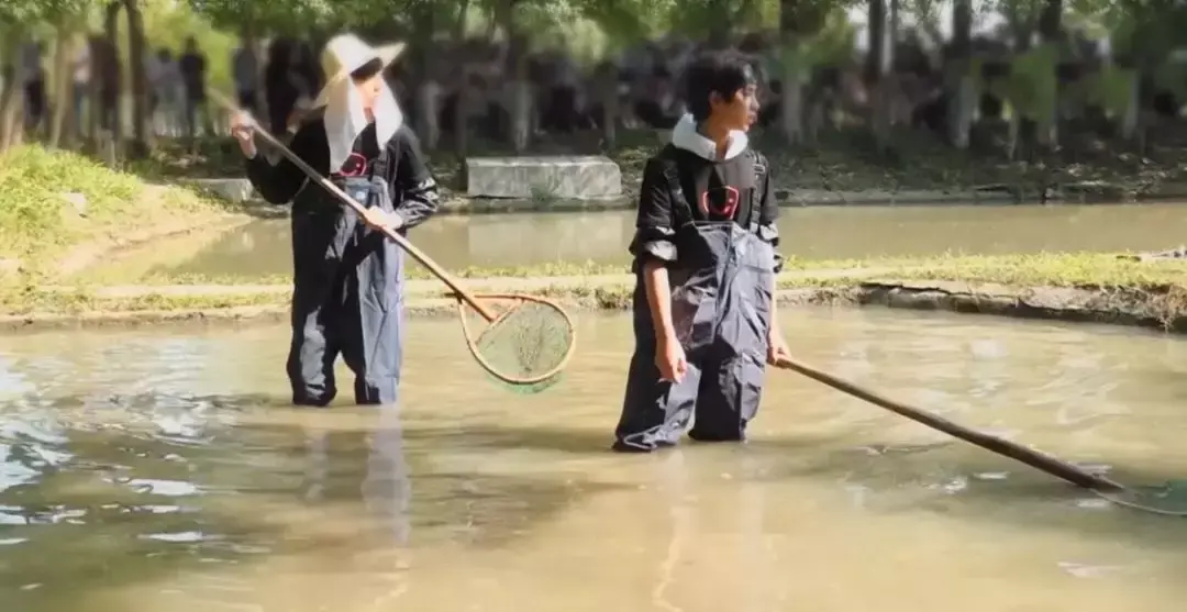 完美的餐厅演员表