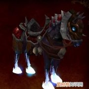 骨马能登记吗