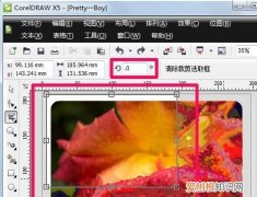 cdr裁剪工具该如何才能用