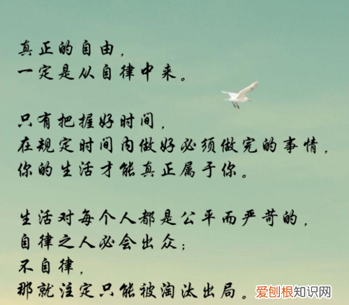 自律者方得自由下一句,人们既要讲自律又要向往自由你怎么理解