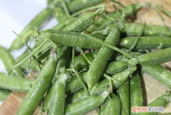豌豆米粉饼怎么做，豌豆饼的做法和配方