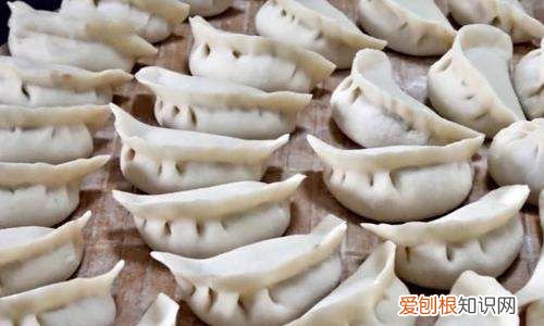 南方和北方的饺子有哪些差异呢，南方包饺子和北方饺子有什么不同
