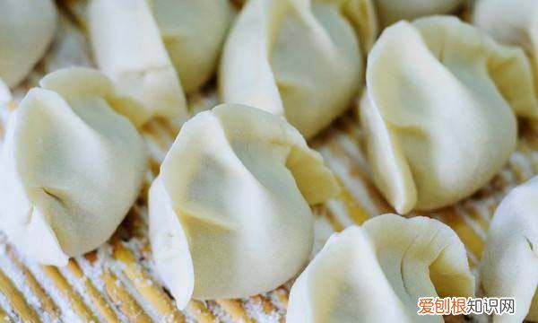 南方和北方的饺子有哪些差异呢，南方包饺子和北方饺子有什么不同