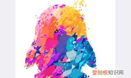 qq背包在哪里,酷狗音乐背包在哪里