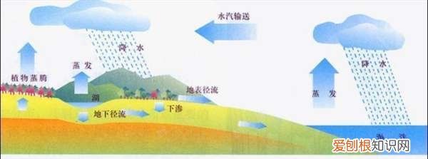 水的社会循环是什么，什么是水的社会循环