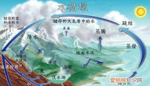 水的社会循环是什么，什么是水的社会循环