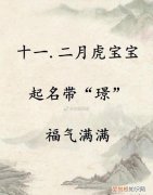 嘉仪名字的寓意