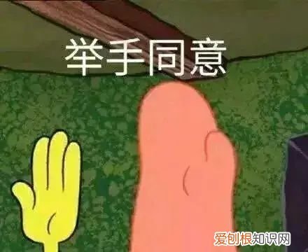 微信号终于能改了