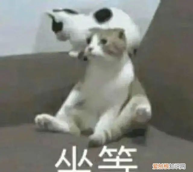 微信号终于能改了