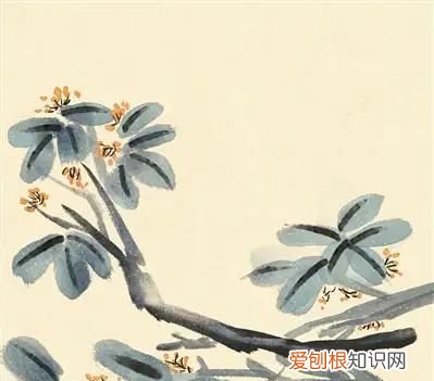 大饼柔软剂配方，玉米面配小麦面做大饼凉了硬不