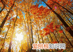 理县美食，康定哪里泡温泉不错