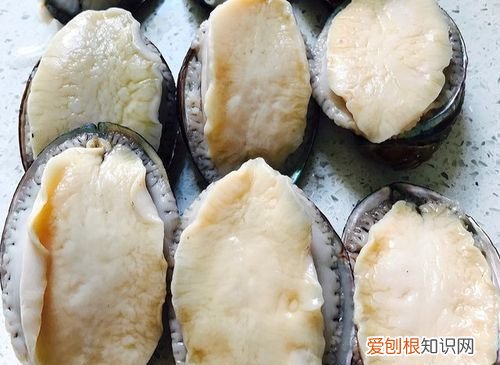 冯小厨鲍鱼做法,小鲍鱼的做法及清洗