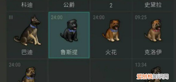 地球末日生存怎么得到狗，地球末日生存正版官网下载
